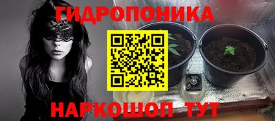 твердый Новодвинск