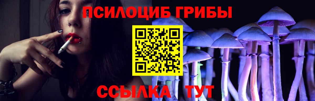 Псилоцибиновые грибы GOLDEN TEACHER Фрязино